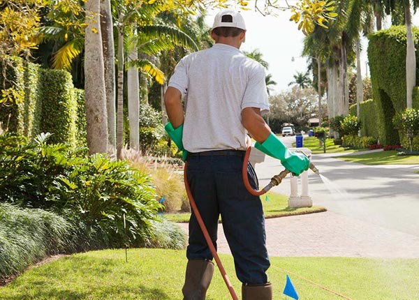About Pembroke Pines FL Pest Control